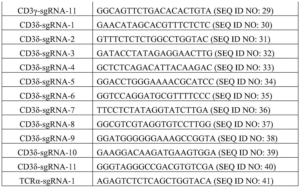 Figure BDA0002639375520000121