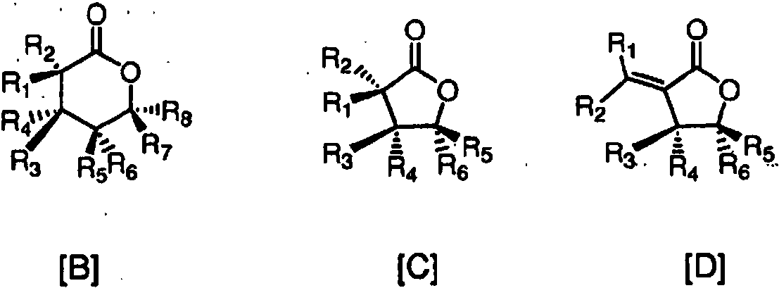 Figure imgf000003_0001
