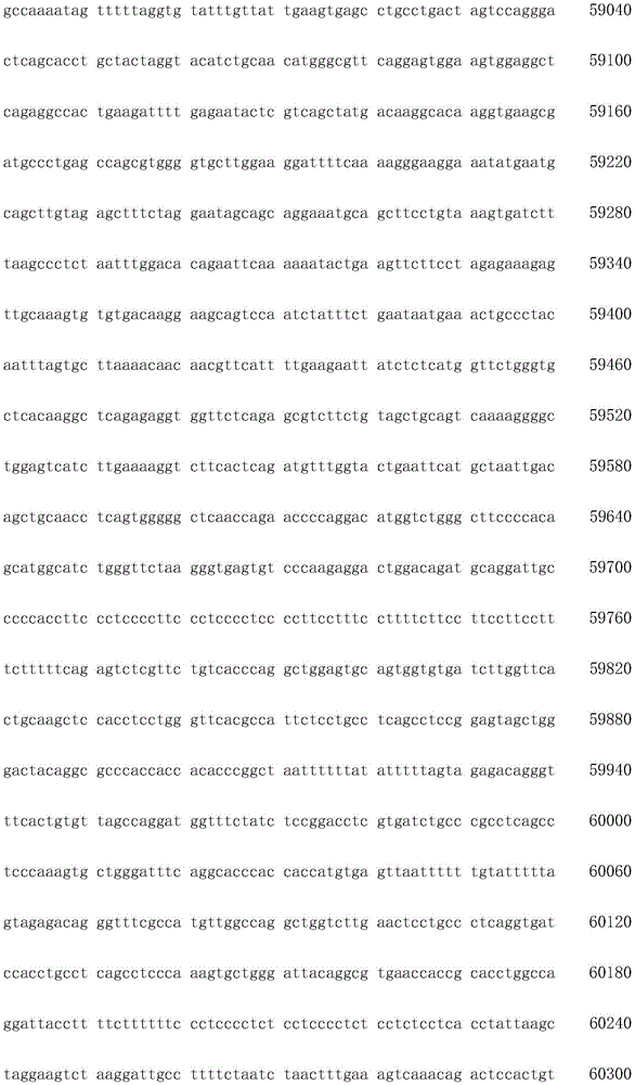 Figure IDA0003936212790001461