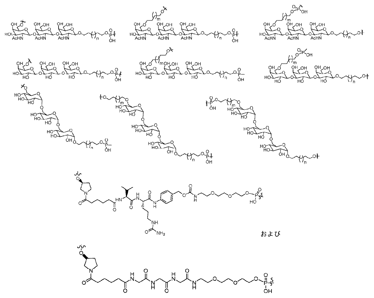 Figure 2025516680000080