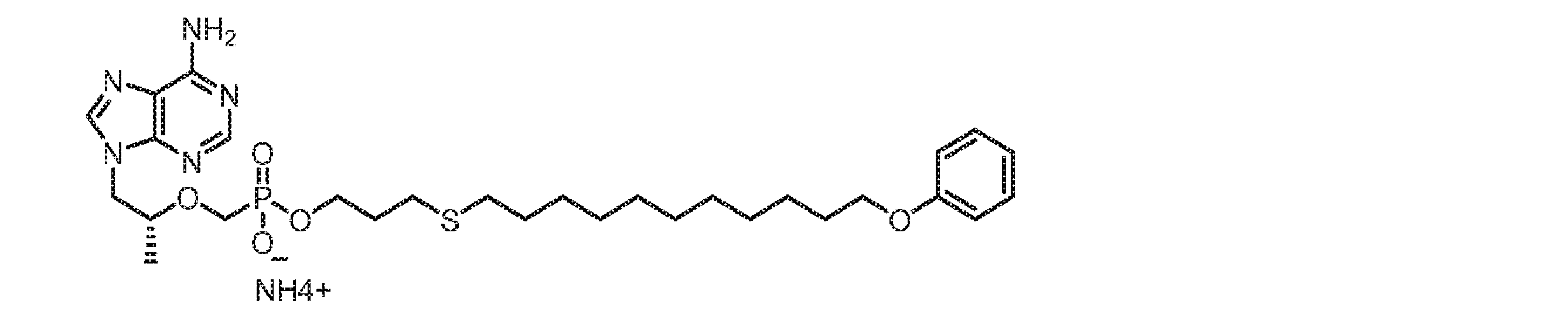 Figure 0007678795000428