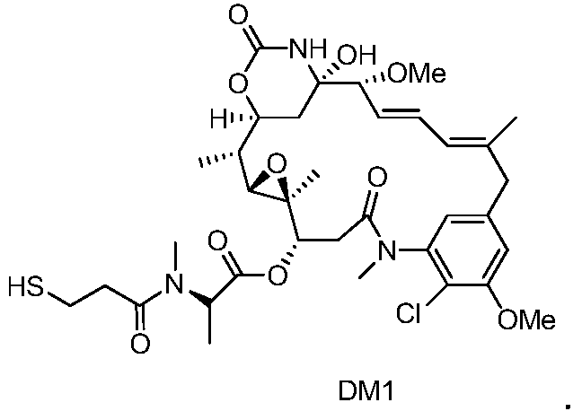 Figure PCTCN2014091690-appb-000037