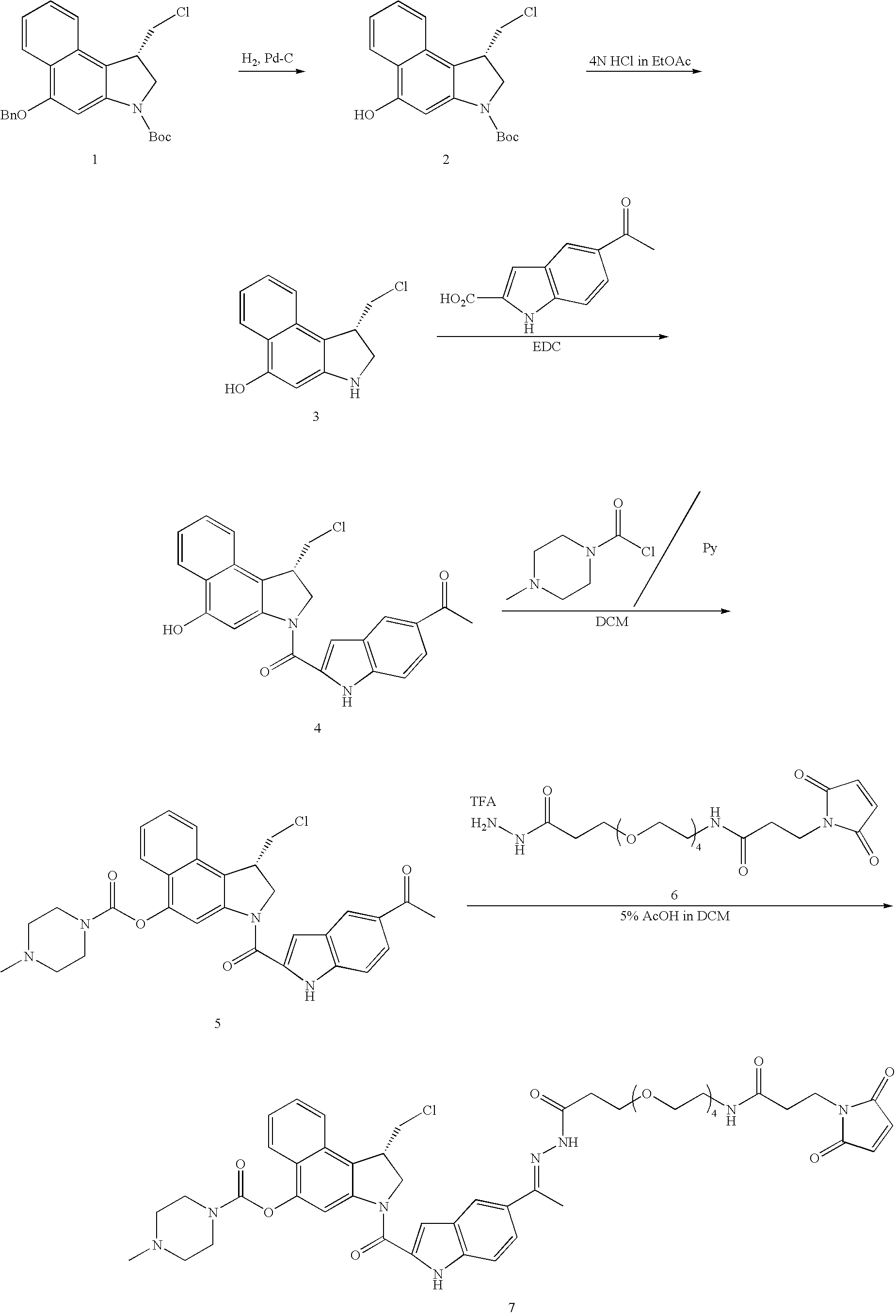 Figure US20080279868A1-20081113-C00130