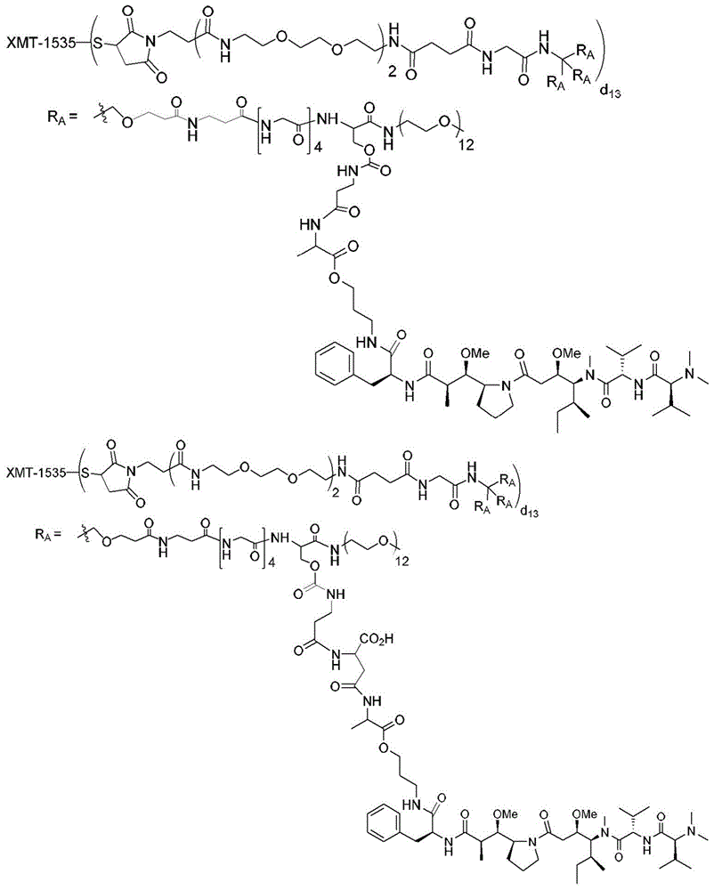 Figure BDA0003135424430001871