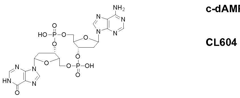 Figure imgf000043_0001