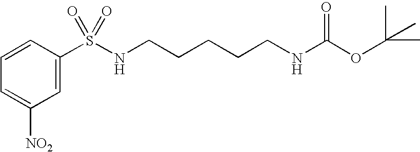 Figure US20040209895A1-20041021-C00011