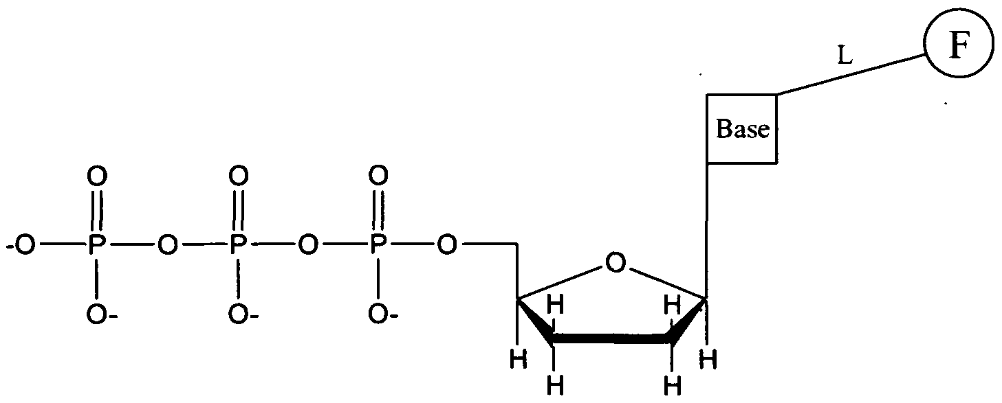Figure imgf000023_0001