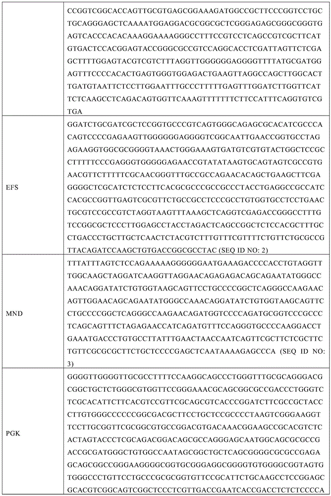 Figure BDA0002288603860000231