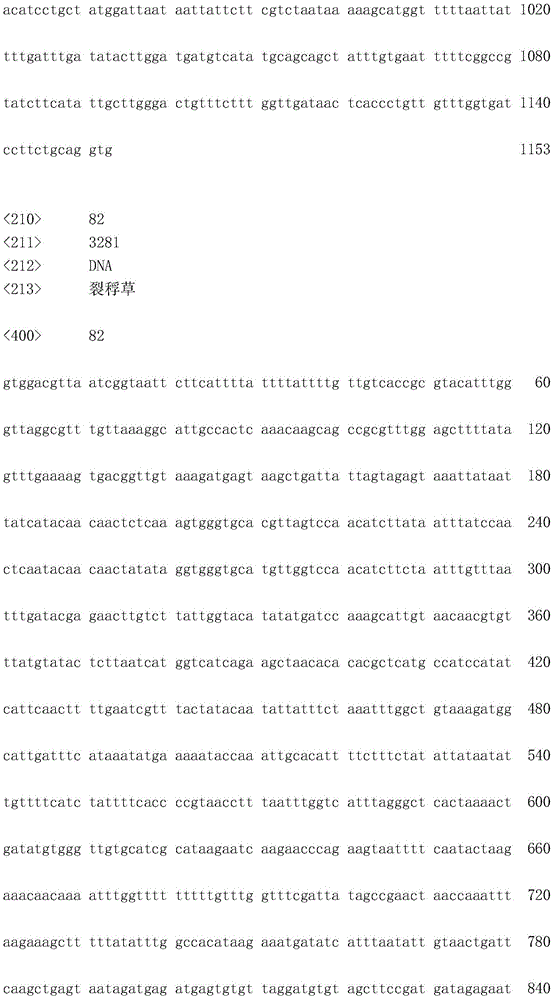 Figure IDA0001706936810001321