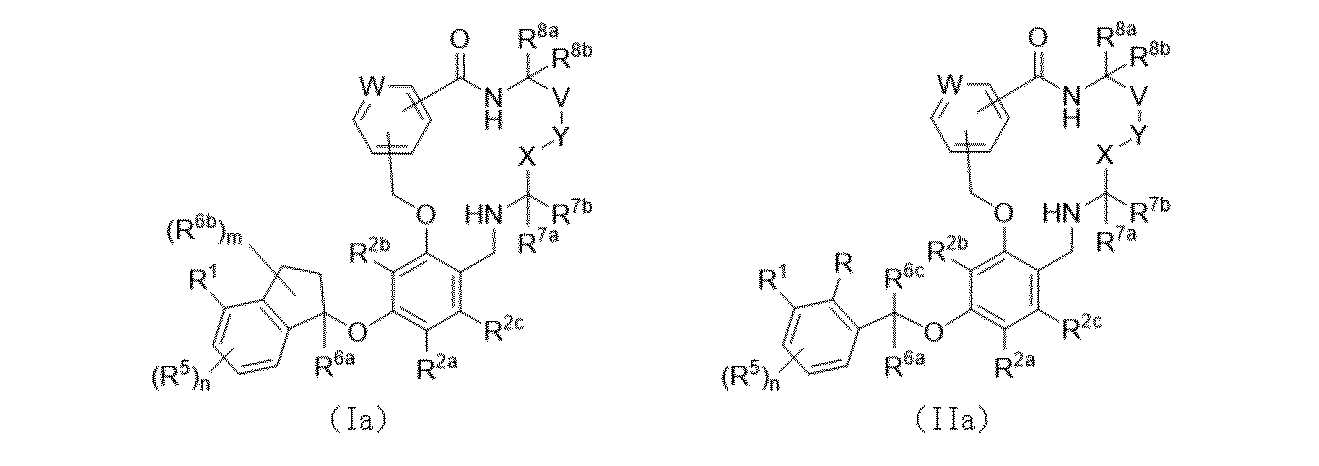 Figure 0007198269000007