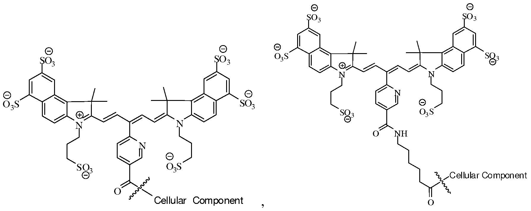 Figure imgf000027_0001