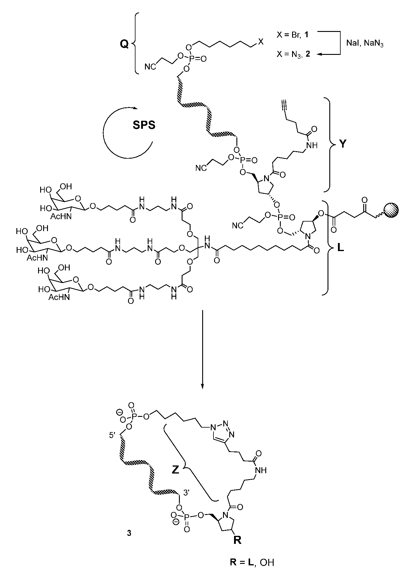 Figure imgf000317_0001