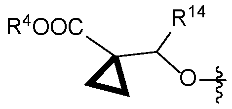 Figure imgf000013_0002
