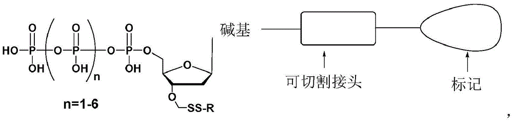 Figure FDA0003538717910000021