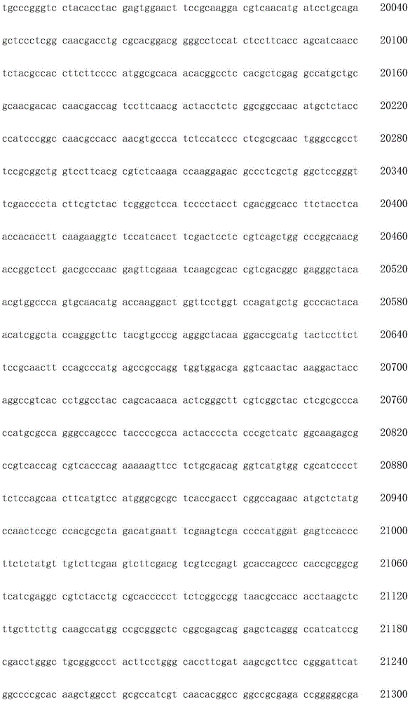 Figure IDA0002872168960001191