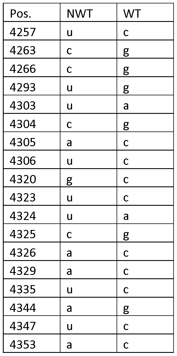 Figure imgf000035_0002