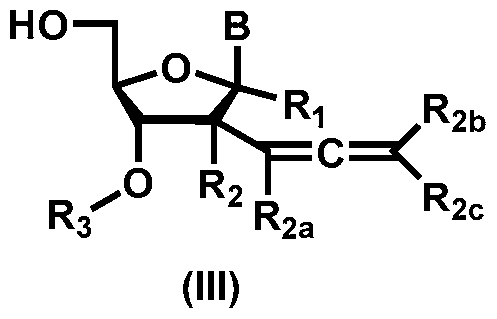 Figure imgf000011_0002