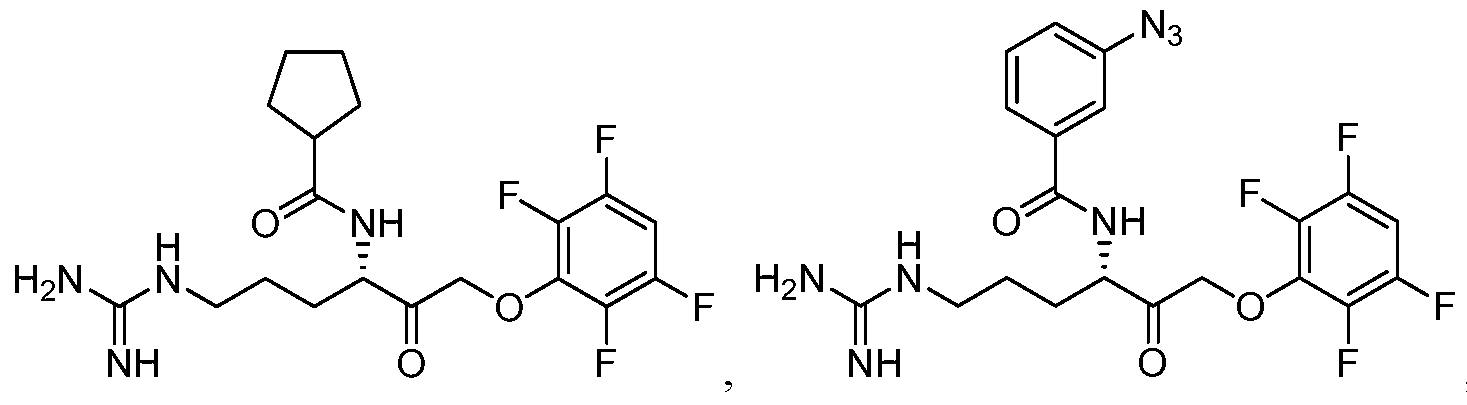 Figure imgf000082_0002