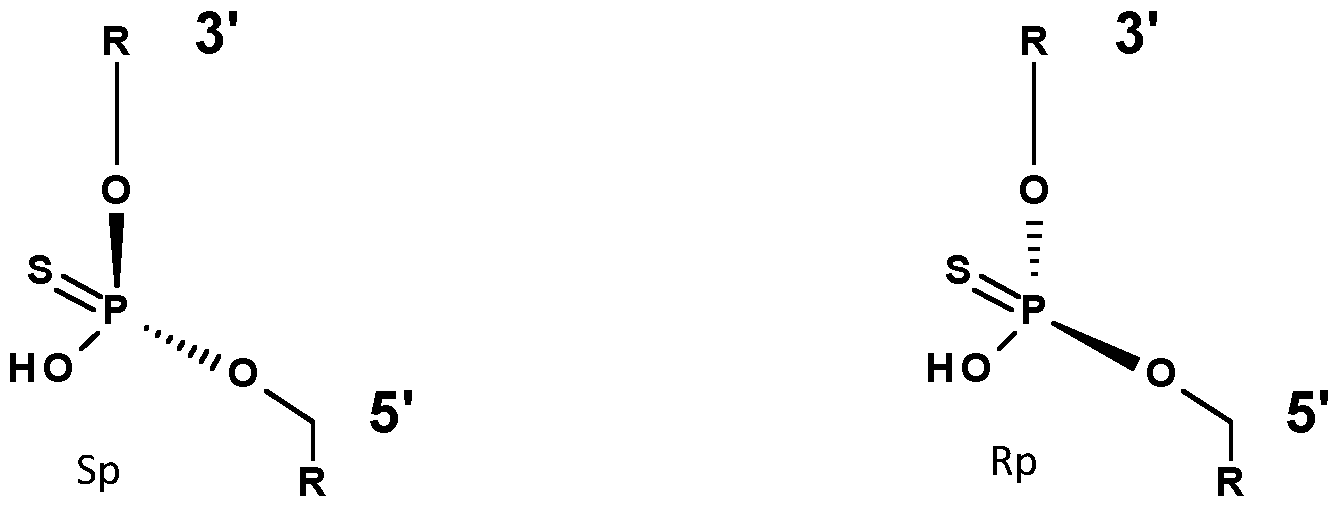 Figure imgf000016_0001