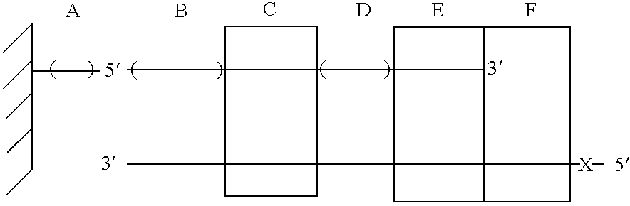 Figure US20040019005A1-20040129-C00002