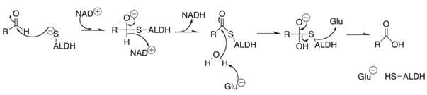 Figure 112012006523621-pat00001