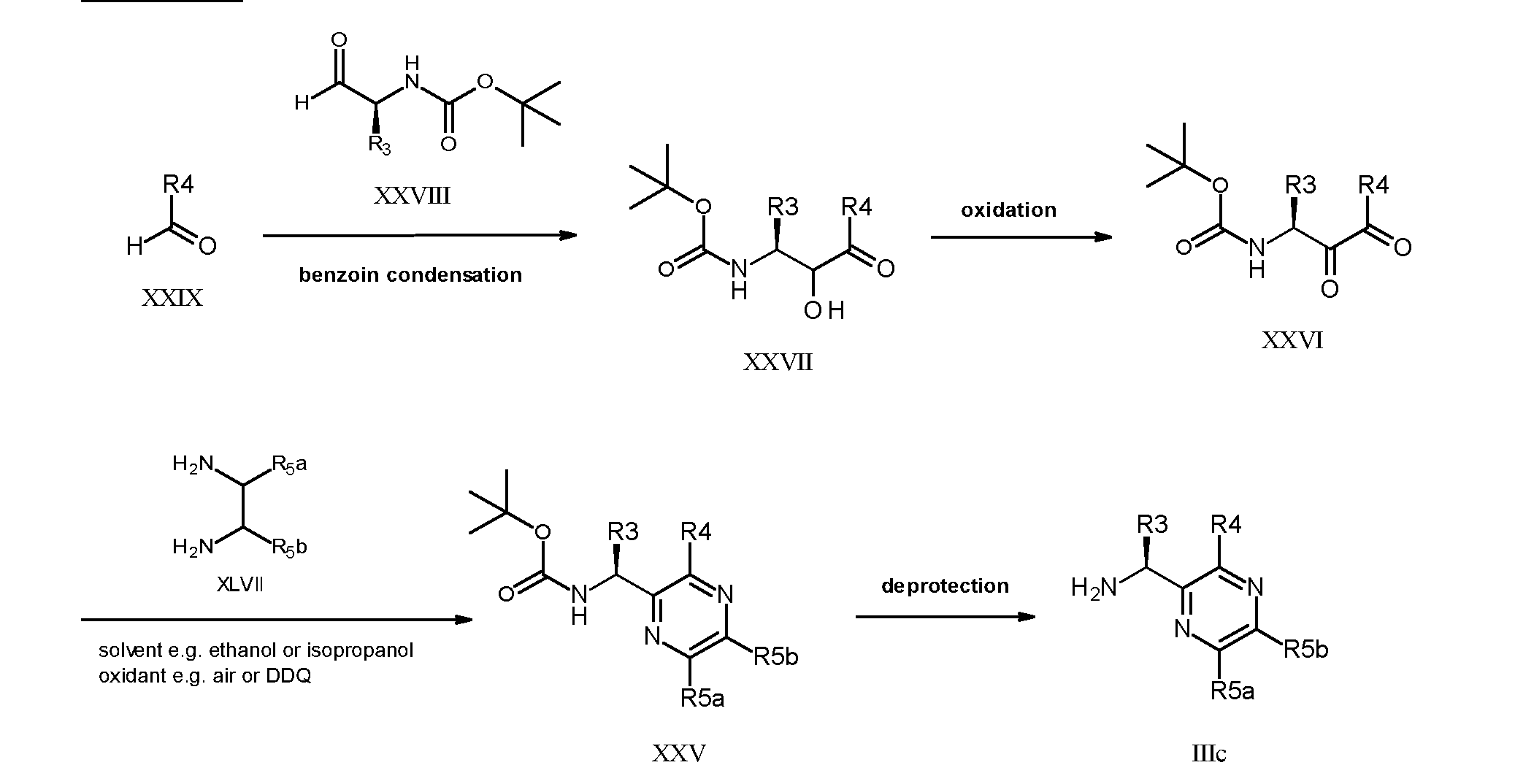 Figure imgf000033_0001