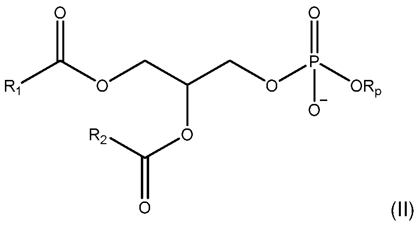 Figure imgf000010_0001