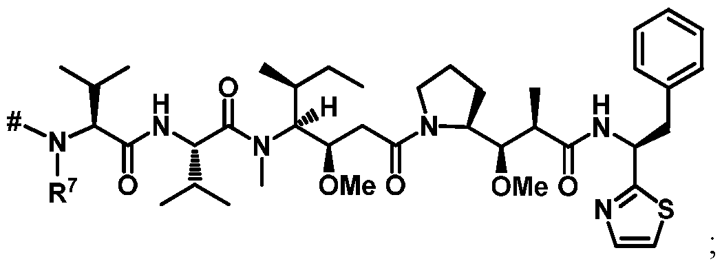 Figure imgf000006_0002