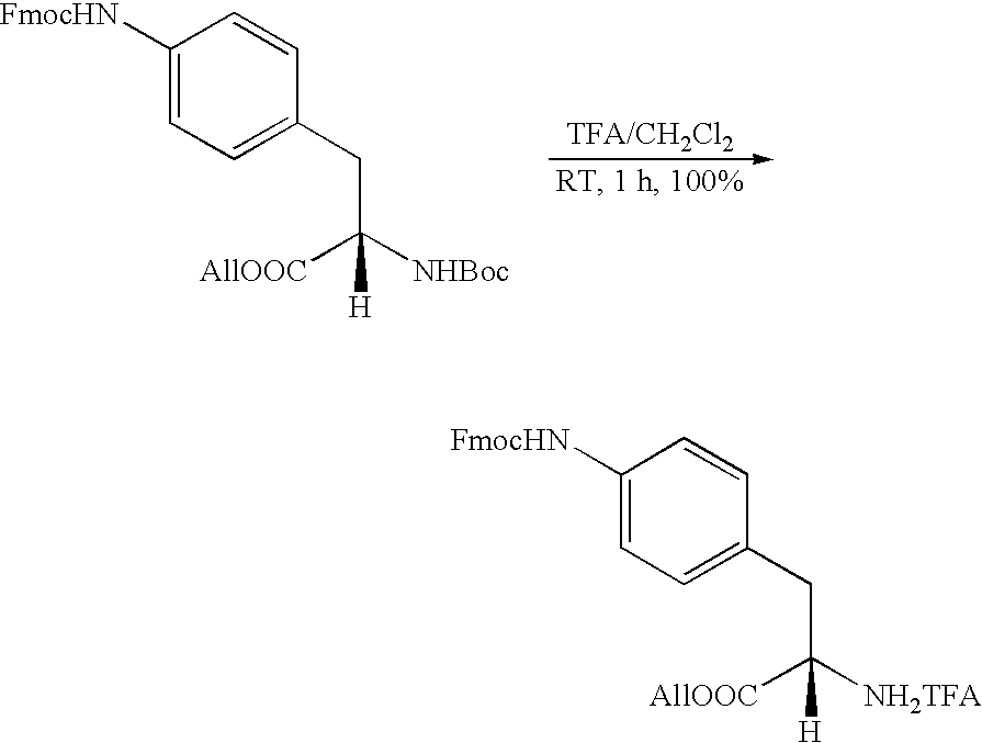 Figure US20090061010A1-20090305-C00019