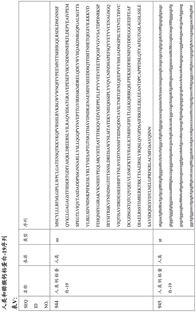 Figure BDA0000809210010002571