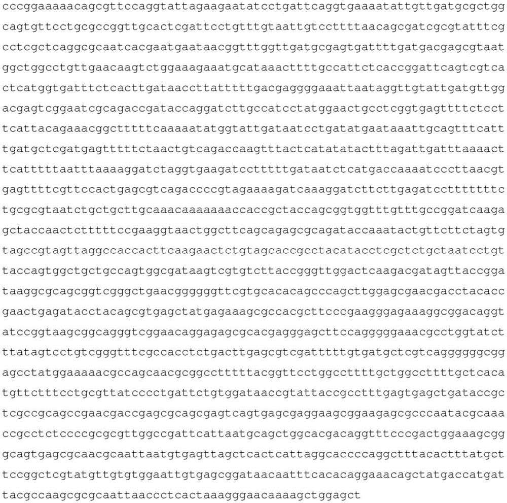 Figure BDA0003755608120001081