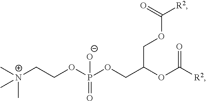 Figure US20250214046A1-20250703-C00082