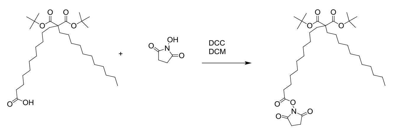 Figure 2022095757000089