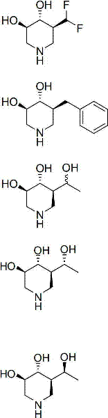 Figure FDA00001755499500041