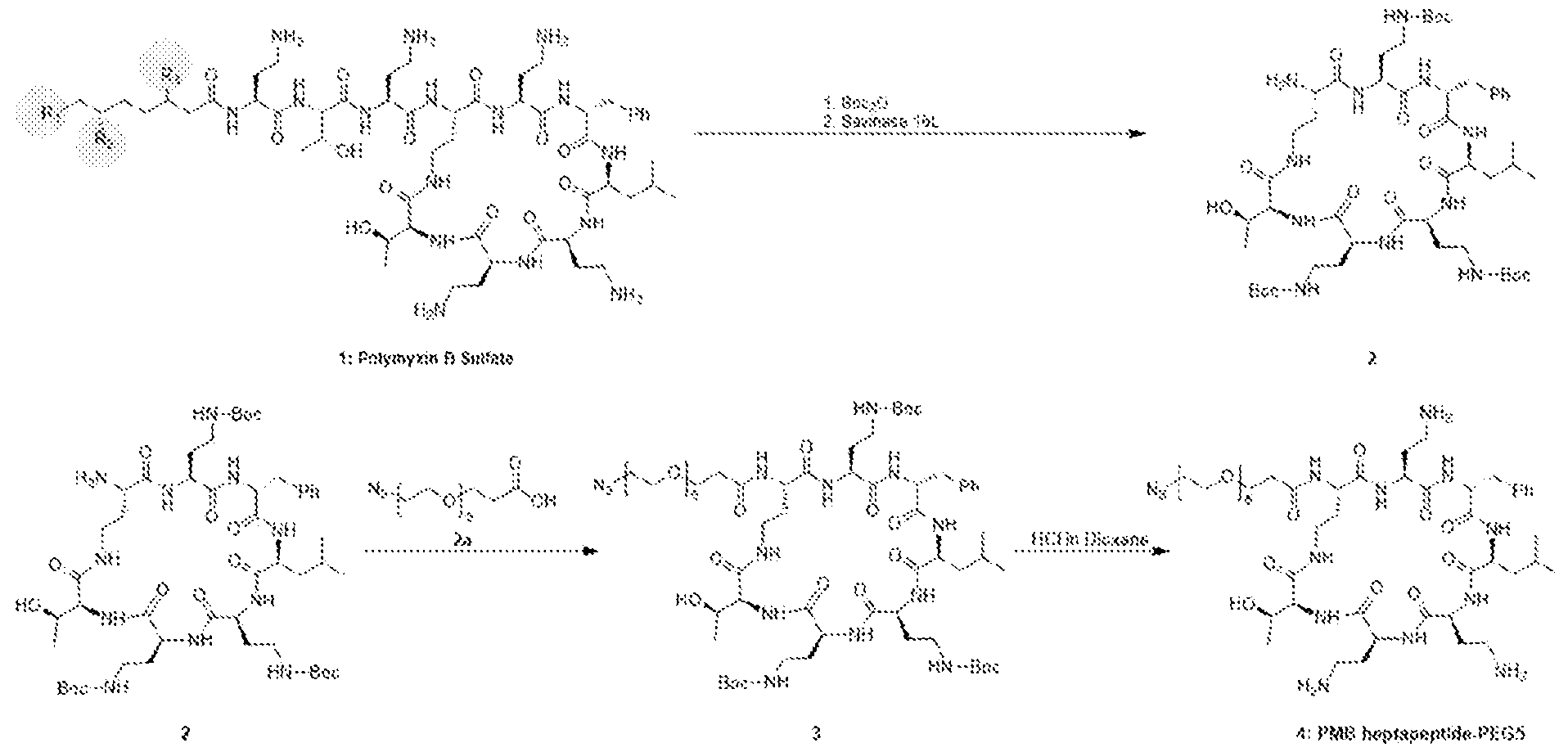 Figure imgf000180_0001