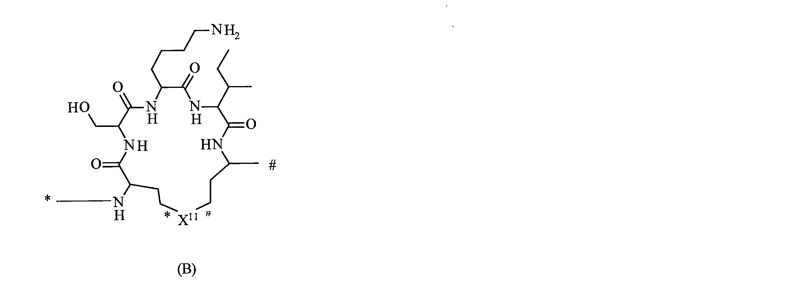 Figure 2022537369000077