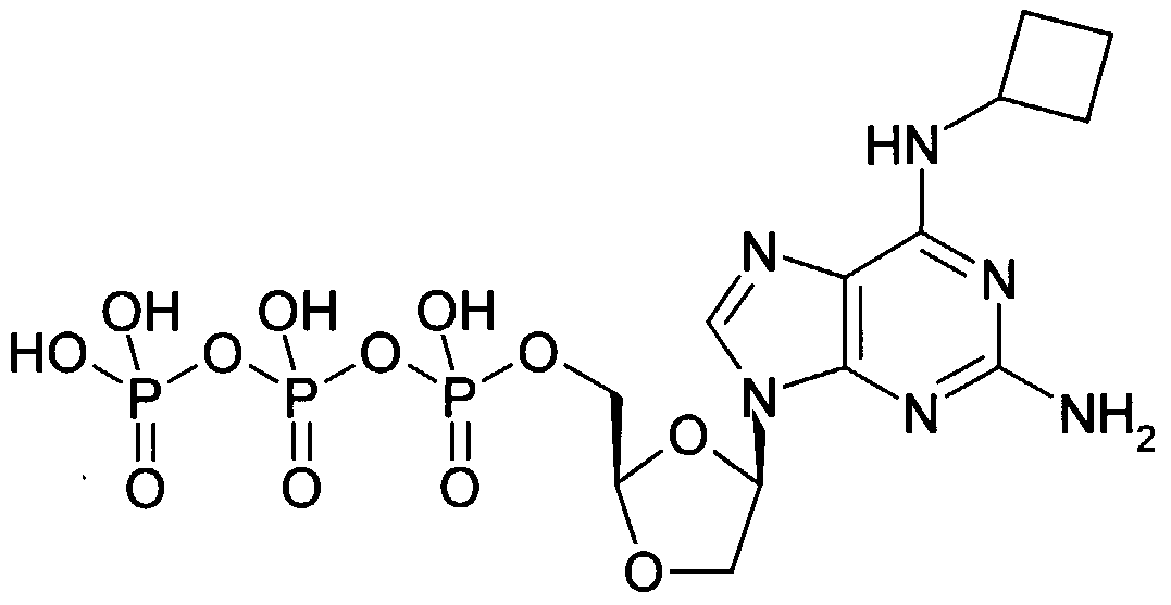 Figure imgf000019_0002