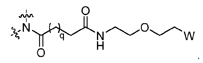 Figure imgf000019_0006