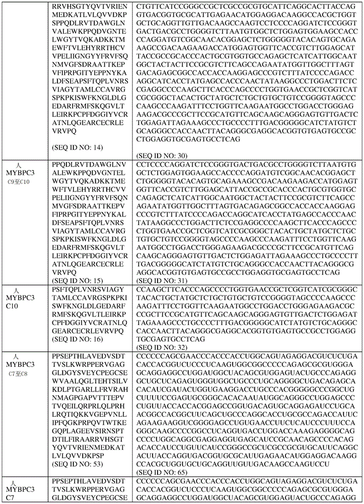 Figure BDA0004042604680000231