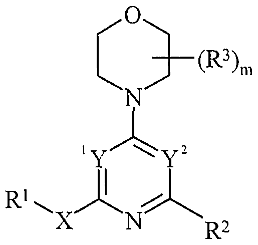 Figure imgf000022_0001