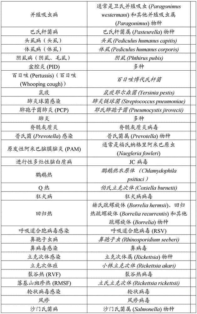 Figure BDA0003468533170000311