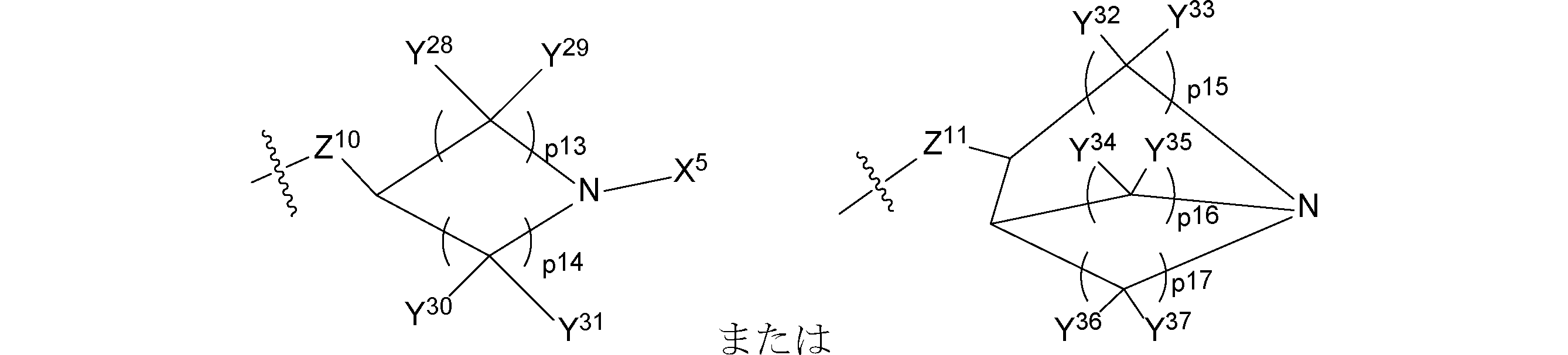 Figure JPOXMLDOC01-appb-C000107