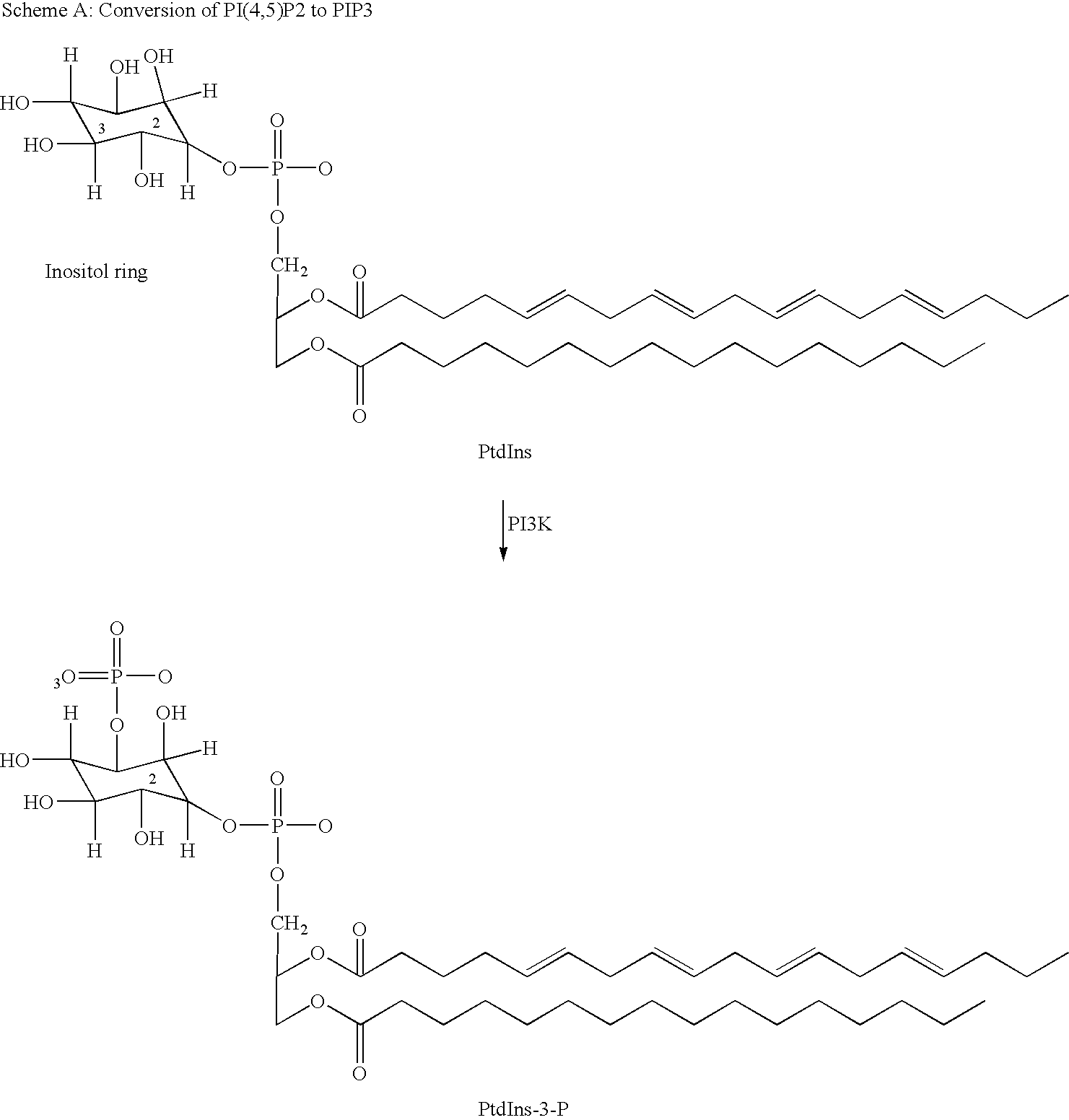 Figure US20080255115A1-20081016-C00001