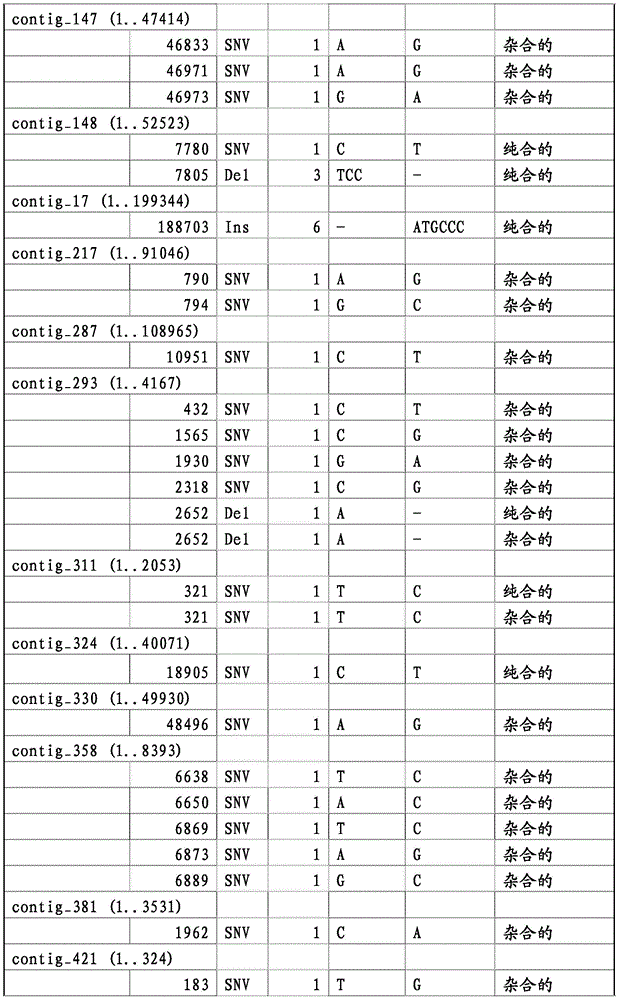 Figure BDA0001338279350000081