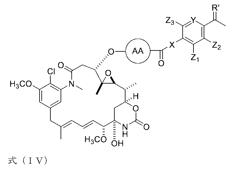 Figure 0007442821000019