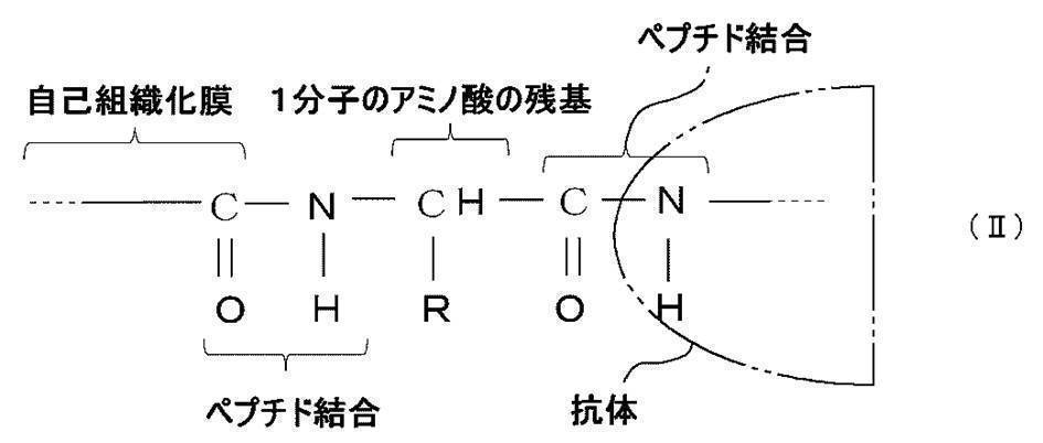 Figure JPOXMLDOC01-appb-C000006