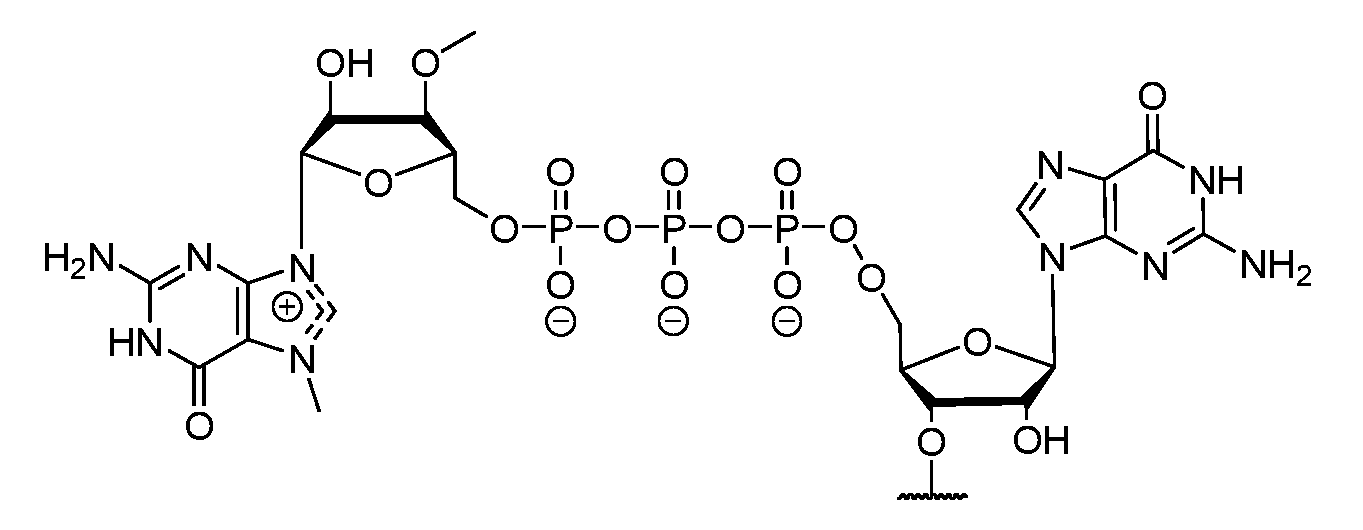 Figure imgf000207_0003