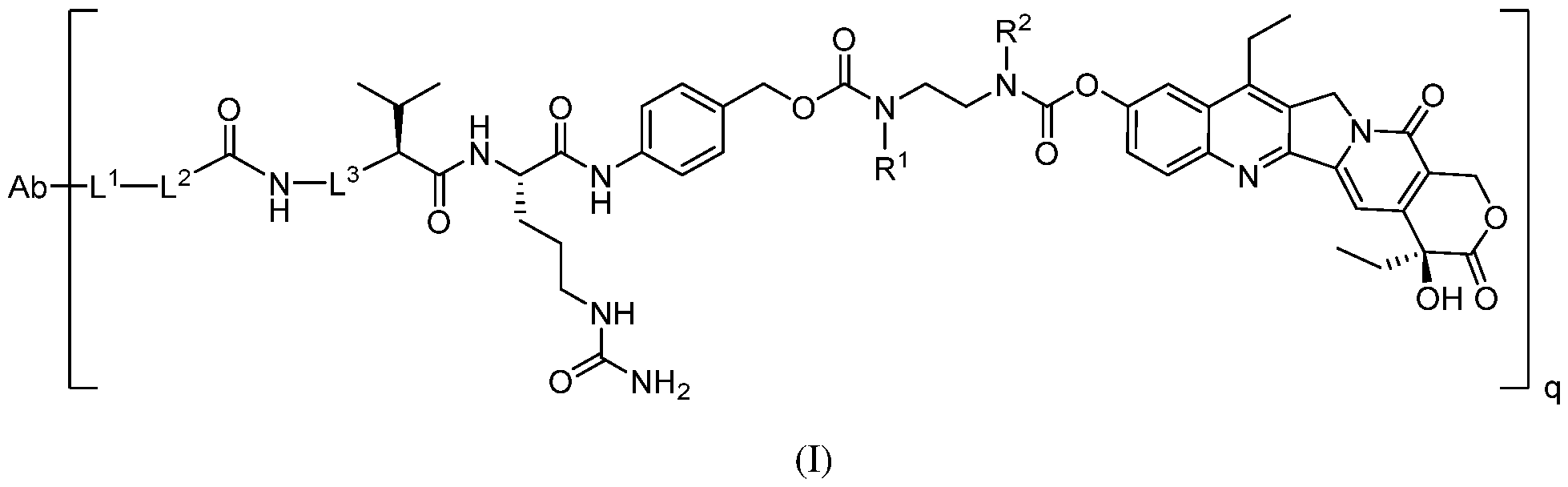 Figure imgf000033_0001