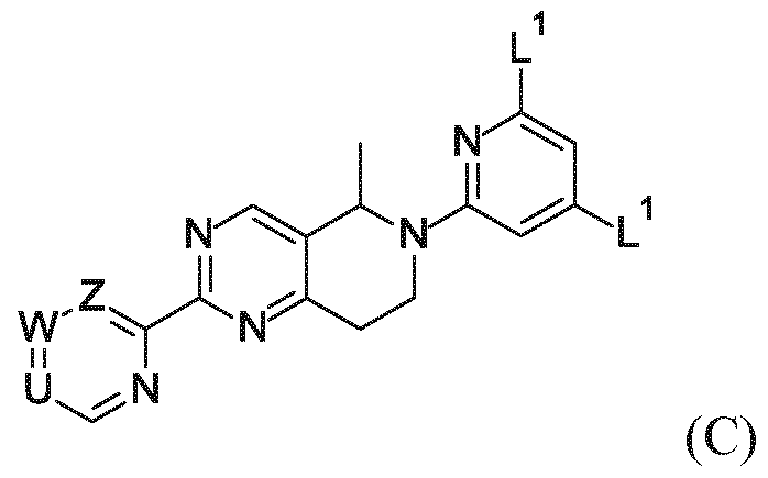 Figure imgf000316_0002