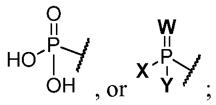Figure imgf000010_0001